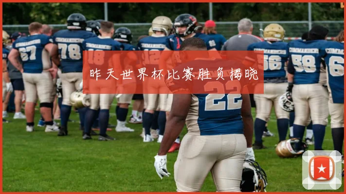 昨天世界杯比赛胜负揭晓