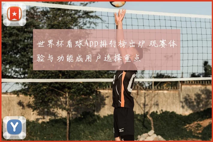 世界杯看球App排行榜出炉 观赛体验与功能成用户选择重点