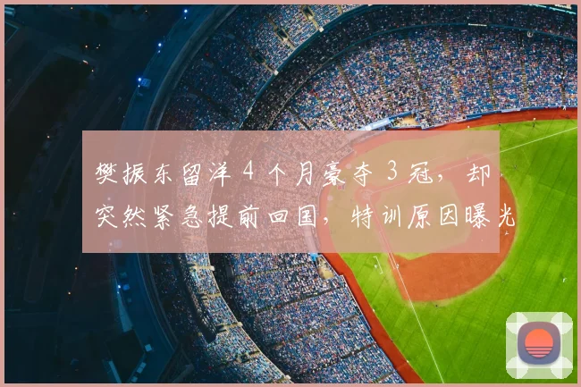 樊振东留洋 4 个月豪夺 3 冠，却突然紧急提前回国，特训原因曝光