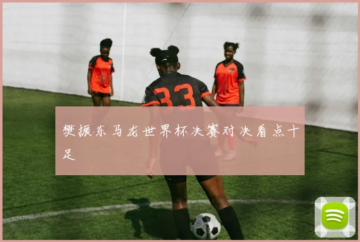 樊振东马龙世界杯决赛对决看点十足