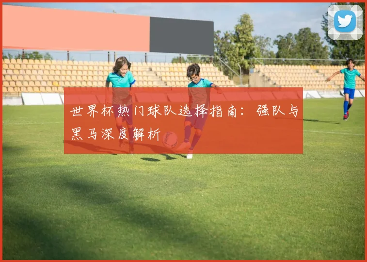 世界杯热门球队选择指南:强队与黑马深度解析